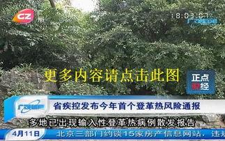 广州电视台新闻爆料直播,最新事件现场直击 第3张 广州电视台新闻爆料直播,最新事件现场直击 第3张