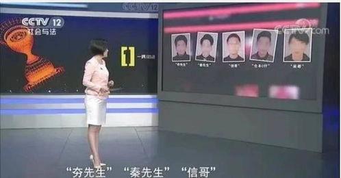 文轩被抓爆料视频,揭秘背后真相与网络热议 第3张 文轩被抓爆料视频,揭秘背后真相与网络热议 第3张